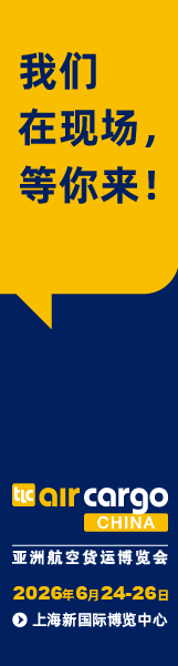 160x600px