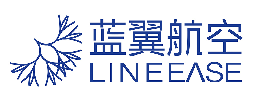 上海蓝翼航空国际货运代理有限公司
